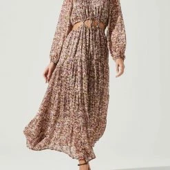 Astr women Freya Dress in Pink Brown Floral